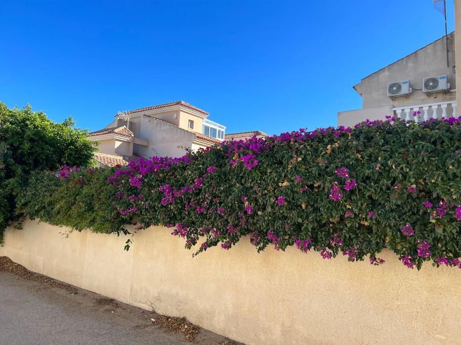 Club Salino 18 Διαμέρισμα Τορεβιέχα Εξωτερικό φωτογραφία