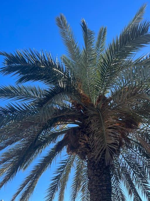 Club Salino 18 Διαμέρισμα Τορεβιέχα Εξωτερικό φωτογραφία